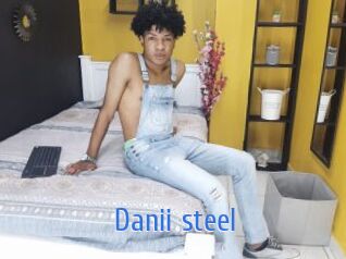 Danii_steel