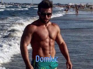 Domluc