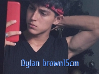 Dylan_brown15cm