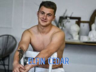 ELFIN_CEDAR