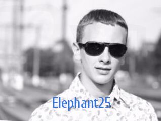 Elephant25