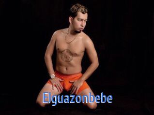 Elguazonbebe