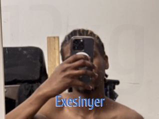 Exesinyer