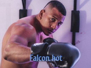 Falcon_hot