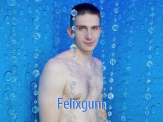 Felixgunn