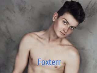 Foxterr