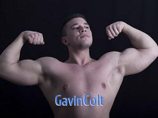 GavinColt