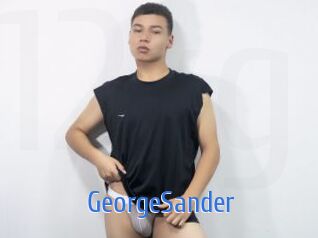 GeorgeSander