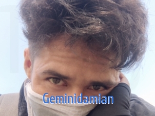 Geminidamian