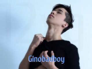 Ginobadboy