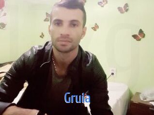 Gruia