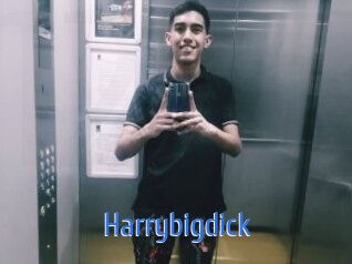 Harrybigdick