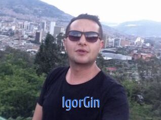 IgorGin