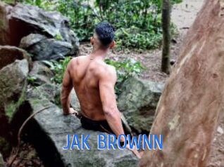 JAK_BROWNN