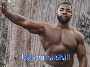jacksonmarshall 12x Gay