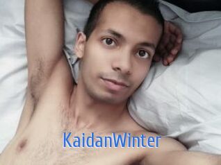 KaidanWinter