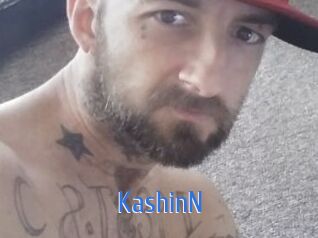 KashinN