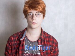 KevinTiger