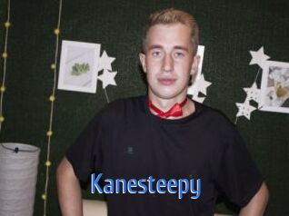 Kanesteepy