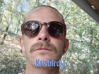 Krisbirdy