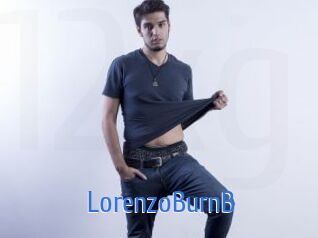 LorenzoBurnB