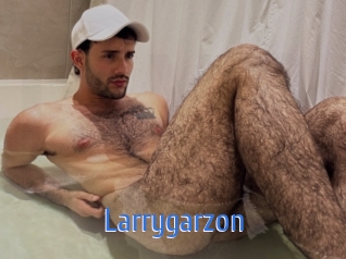 Larrygarzon