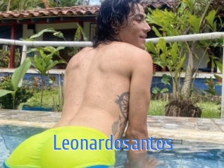 Leonardosantos