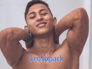 Leosixpack