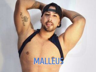 MALLEUS