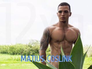 MATIUS_COSLINK