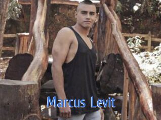 Marcus_Levit