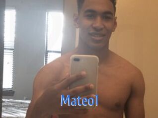 Mateo1