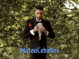 MateoCeballos