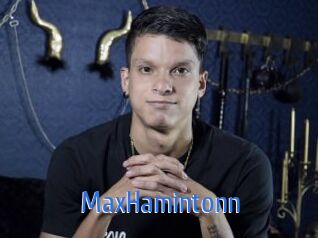 MaxHamintonn