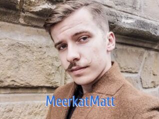 MeerkatMatt