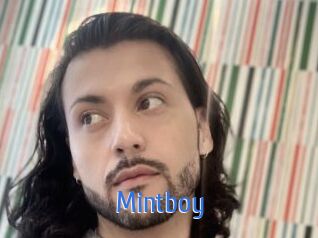 Mintboy