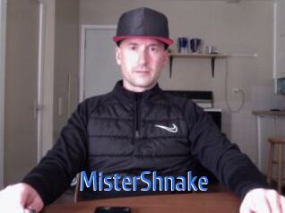 MisterShnake