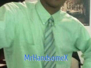 MrHandsomeX