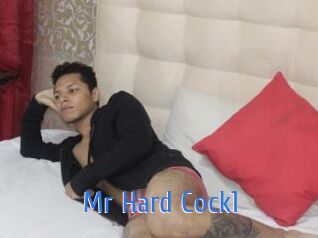 Mr_Hard_Cock1