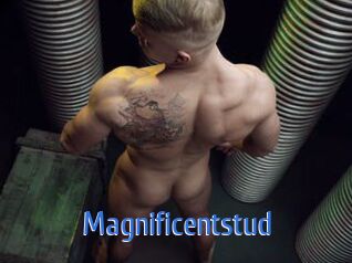 Magnificentstud