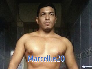 Marcellus20