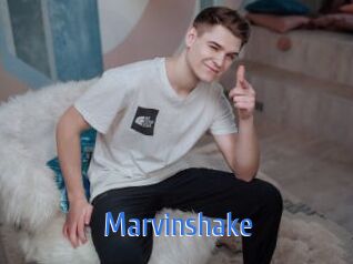 Marvinshake