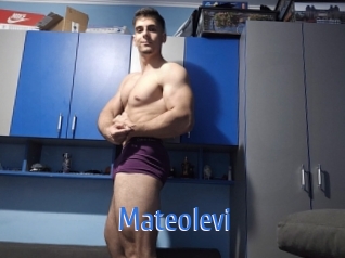 Mateolevi