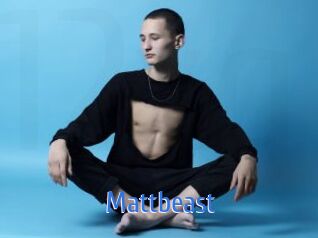 Mattbeast