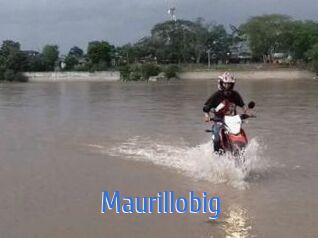 Maurillobig