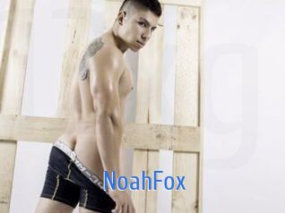 NoahFox