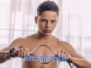 Nethanspecter