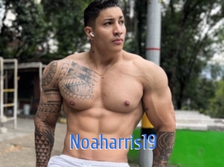 Noaharris19