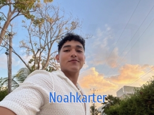 Noahkarter