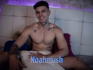 Noahmush